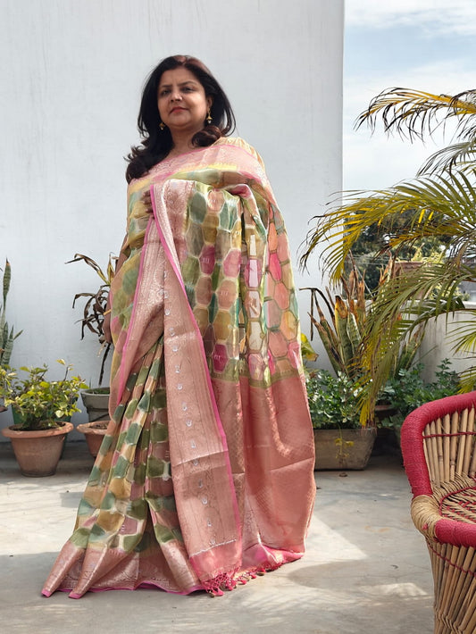 RANG-CART TISSUE BANARASI SAREE - Weave Sutra